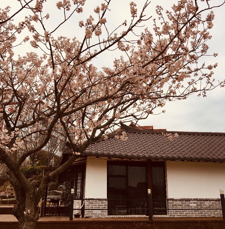 2950639983_TkXjY6Ri_fc44d6e960a5a2190a4726ece02ad0a72705eaf4.jpeg 이미지크게보기