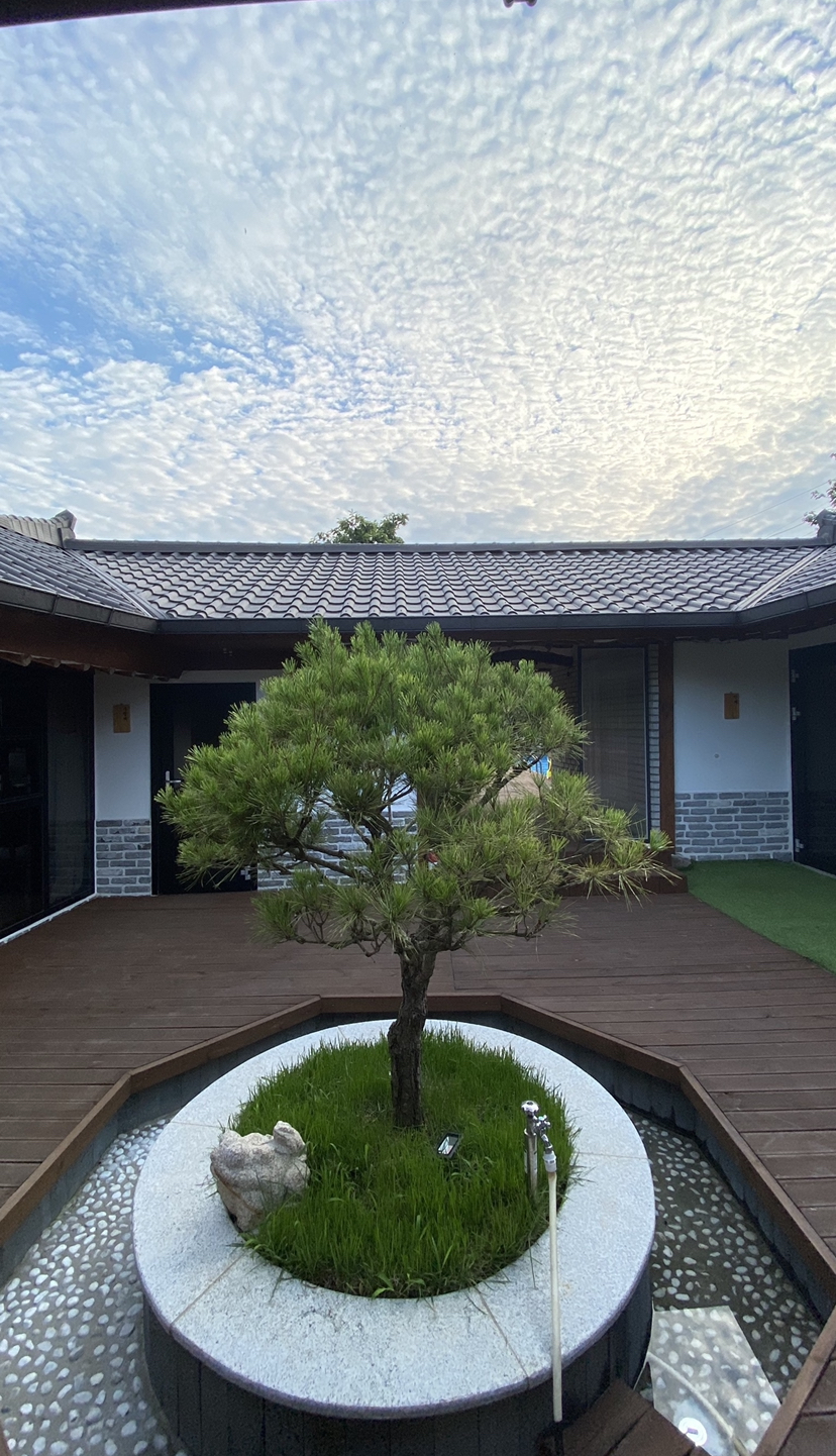 654776433_52PqAxS4_4ca801624e5ff2e3d13d664ef85e9c52b3e64f93.jpeg 이미지크게보기