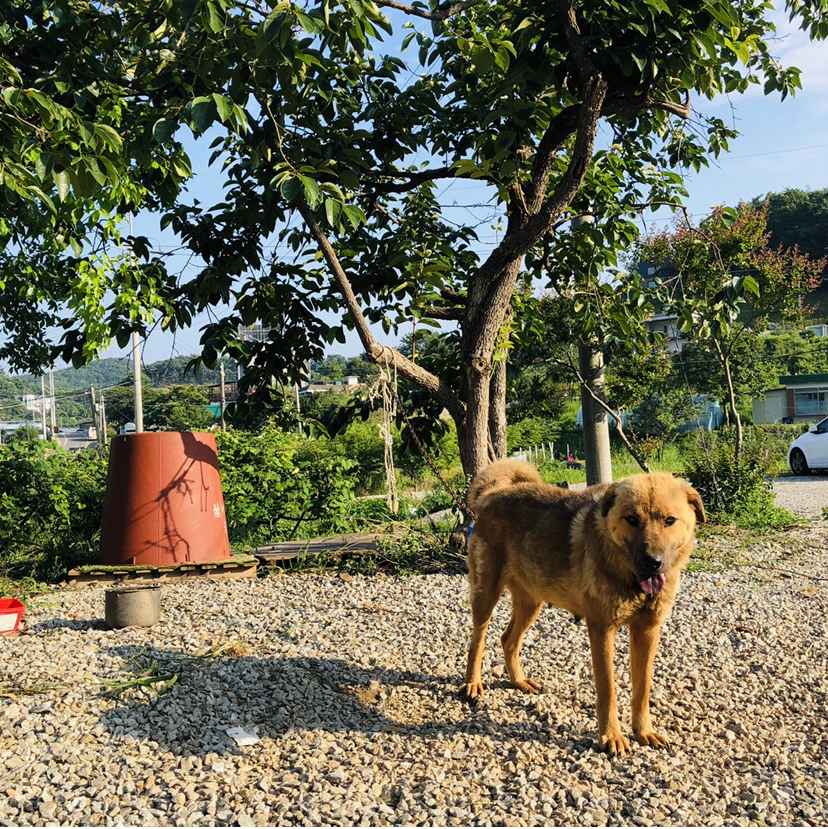 654776433_tIVJWRPa_560048ff2cb6c32174b72279250c0ae598e56c30.jpeg 이미지크게보기