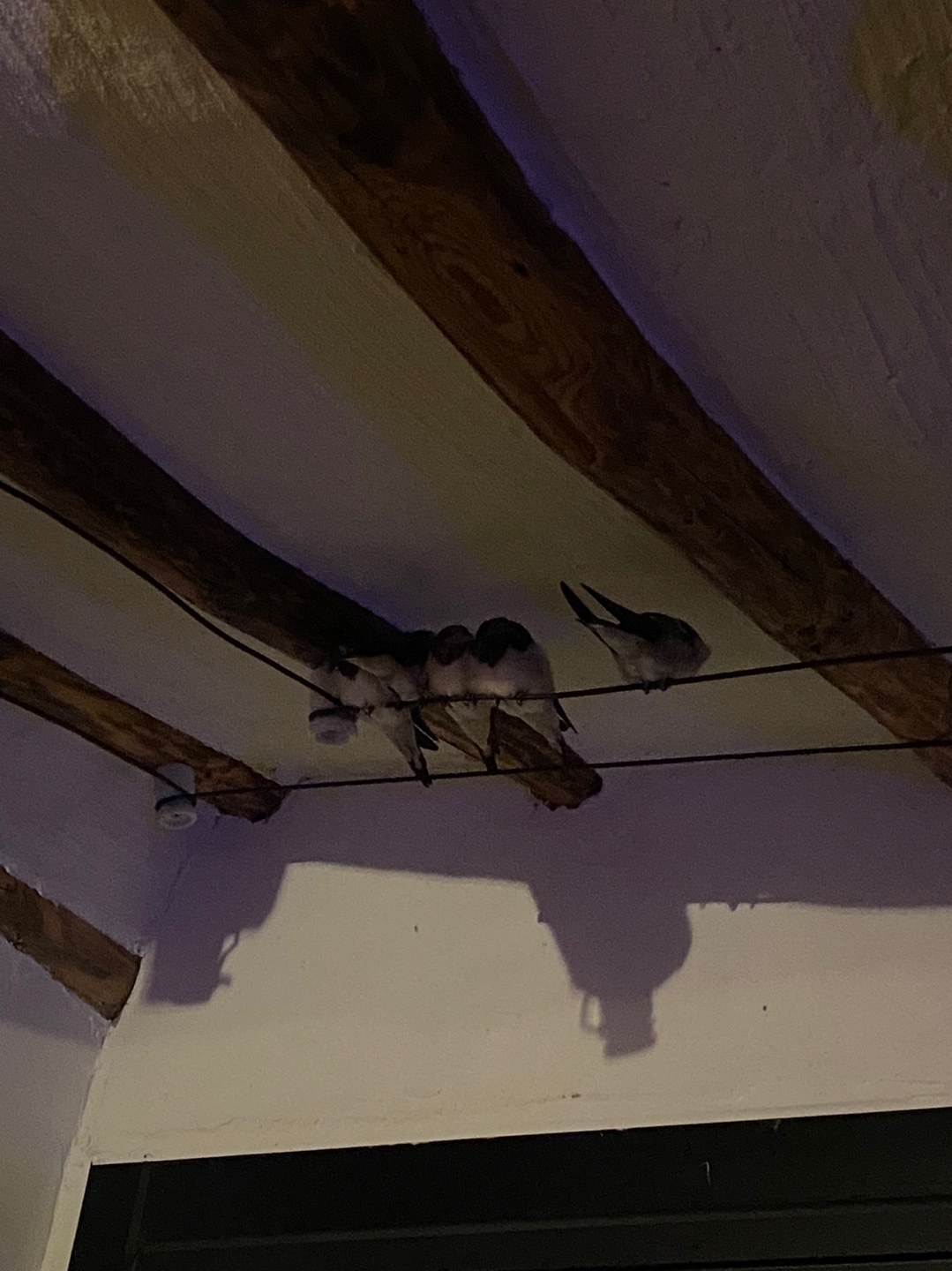 1785106160_D2ZPzq5L_d0eaf8cf24d23a73cb6821d84a029d2742958d5a.jpg 이미지크게보기