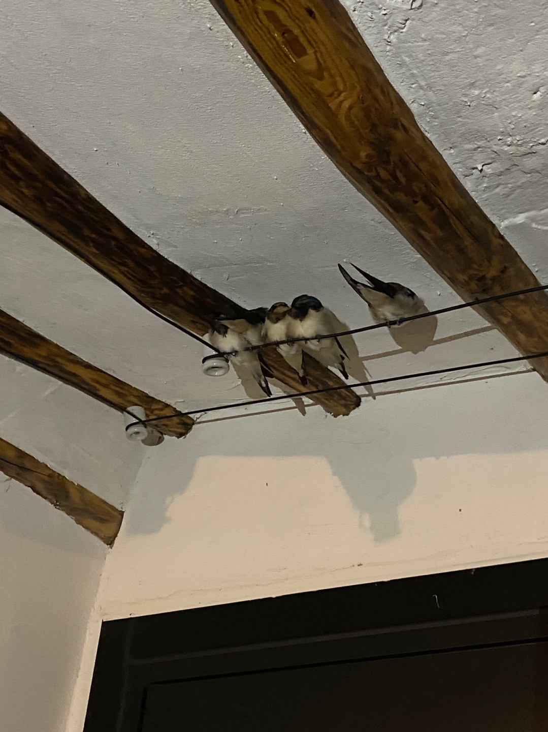 1785106160_OWj1A8YV_b3849832ae65fed2b497084949c971b7b5b04c19.jpg 이미지크게보기