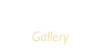 둘러보기