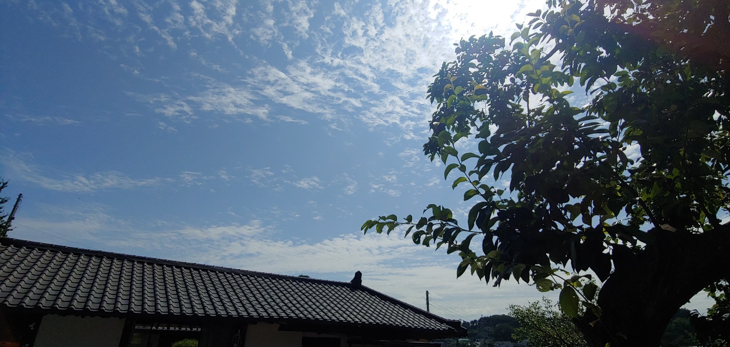 /user/m/mieum/editor/2108/a1988fd2309ec45a27abc3405e56cc8a_1629699247_0759.jpg 이미지크게보기